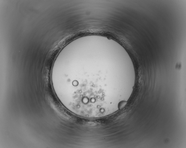 X0000115000542200911161539