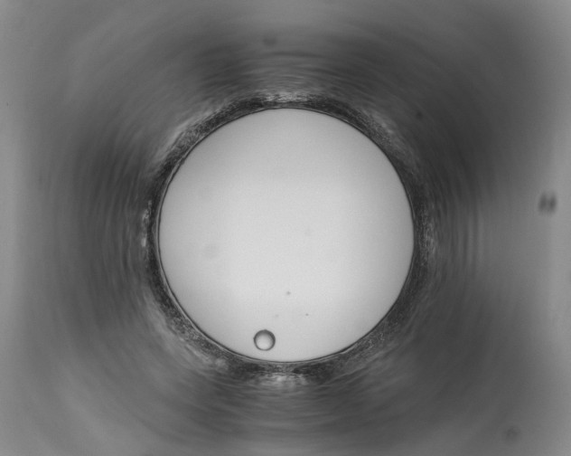 X0000115000543200911161539