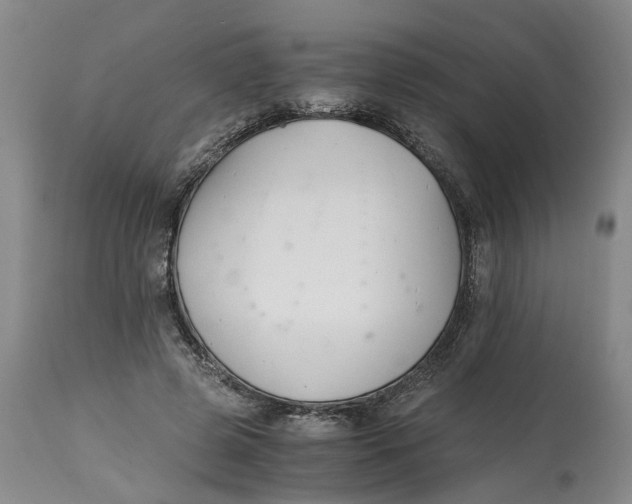 X0000115000545200911161539