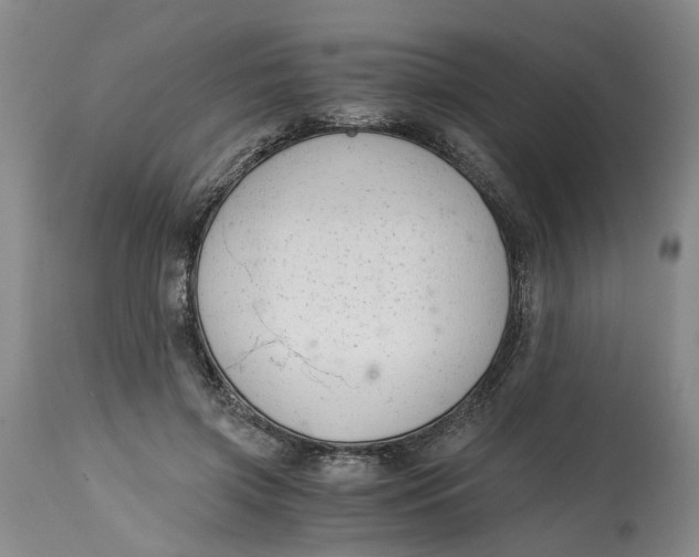 X0000115000549200911161539