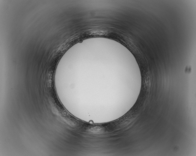 X0000115000551200911161539