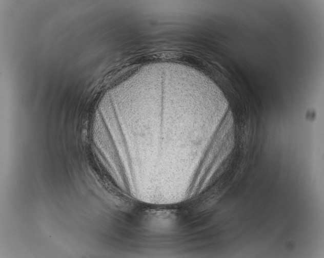 X0000115000553200911161539