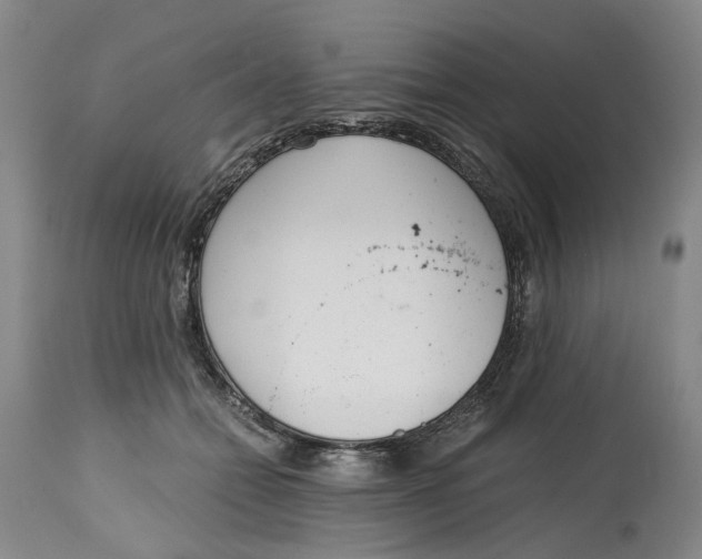 X0000115000558200911161539