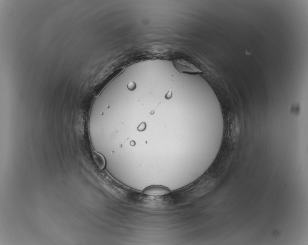 X0000115000562200911161539