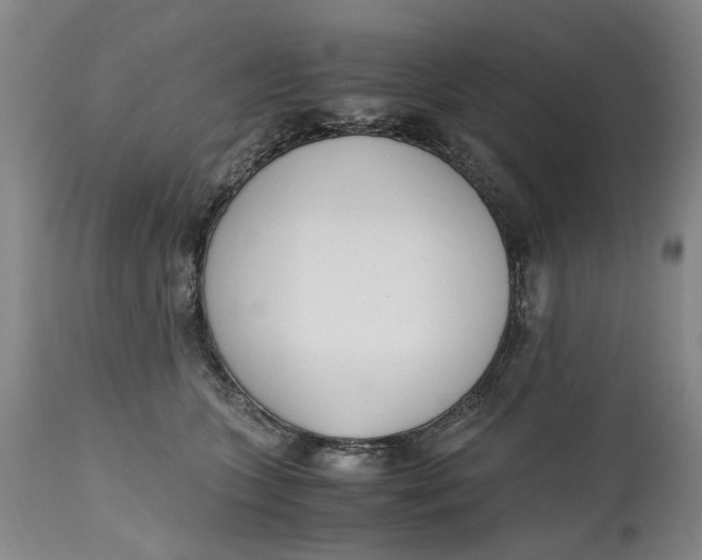 X0000115000563200911161539