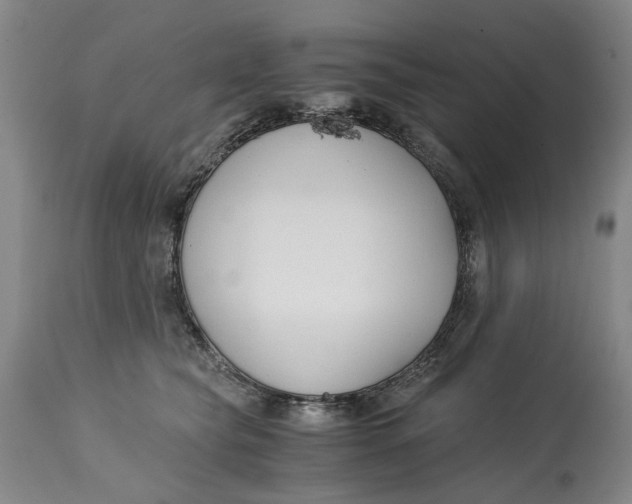 X0000115000565200911161539