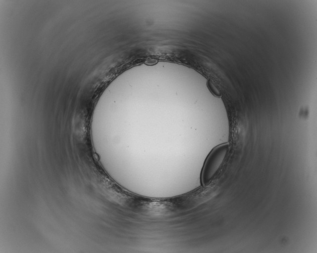 X0000115000566200911161539