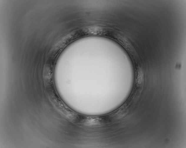 X0000115000569200911161540