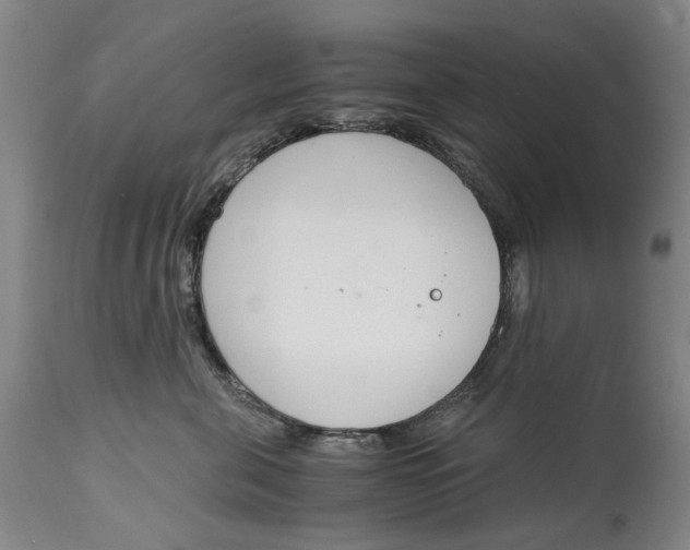 X0000115000571200911161540