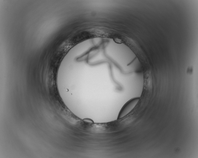 X0000115000573200911161540