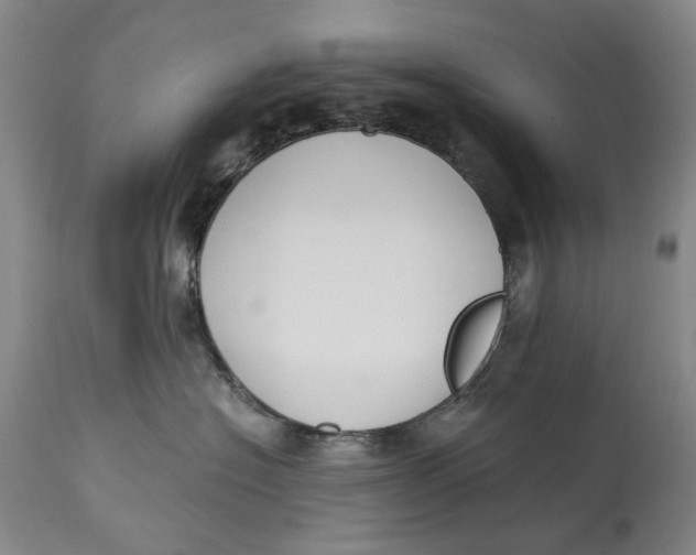 X0000115000574200911161540