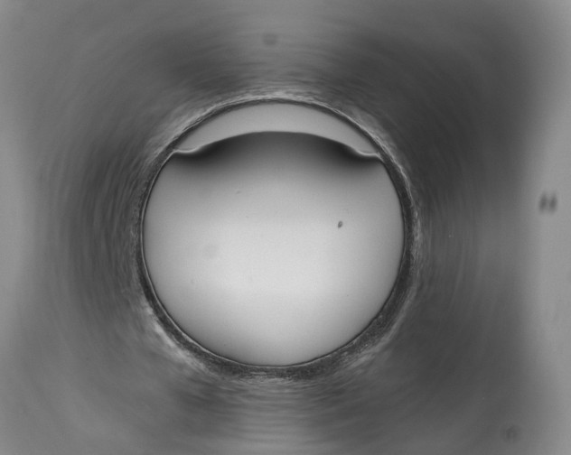 X0000115000577200911161539