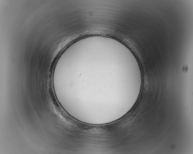 X0000115000578200911161539