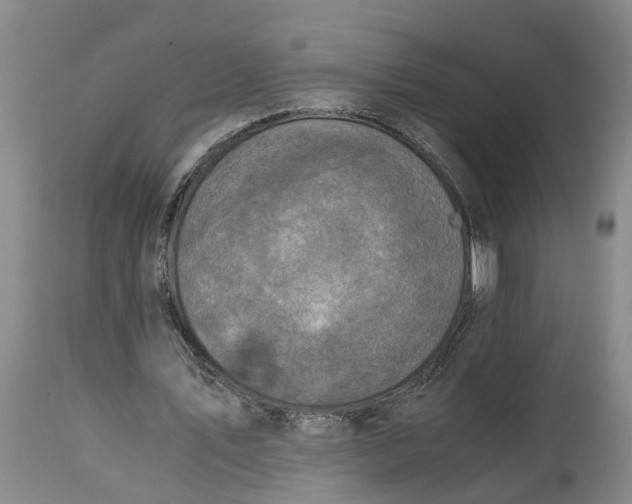 X0000115000579200911161539