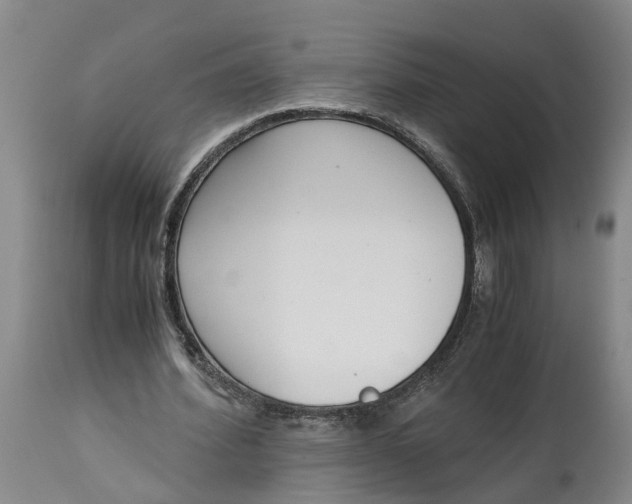 X0000115000580200911161539