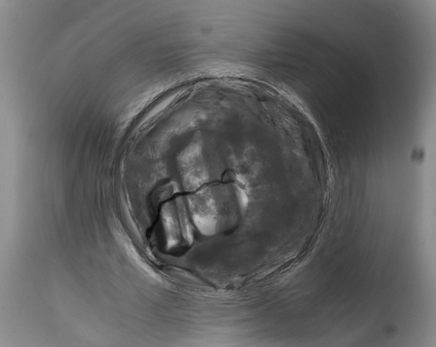 X0000115000581200911161539