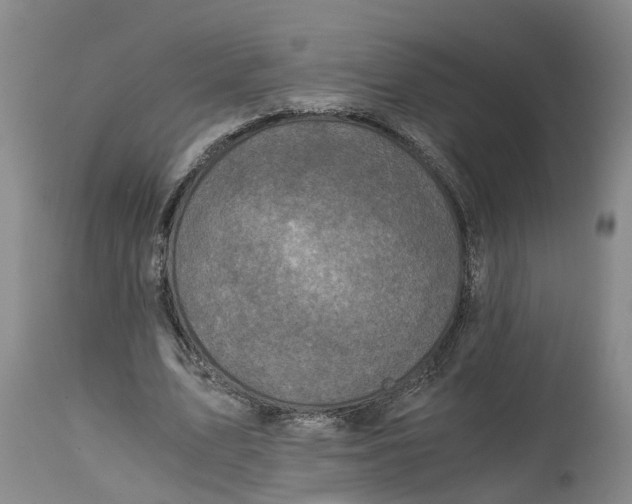 X0000115000583200911161539