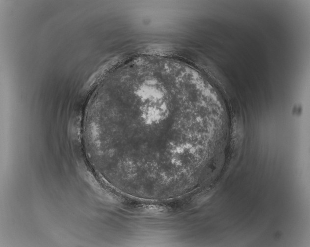 X0000115000585200911161539