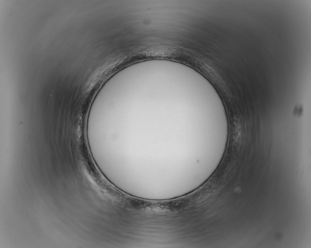 X0000115000586200911161539