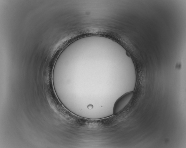 X0000115000587200911161539