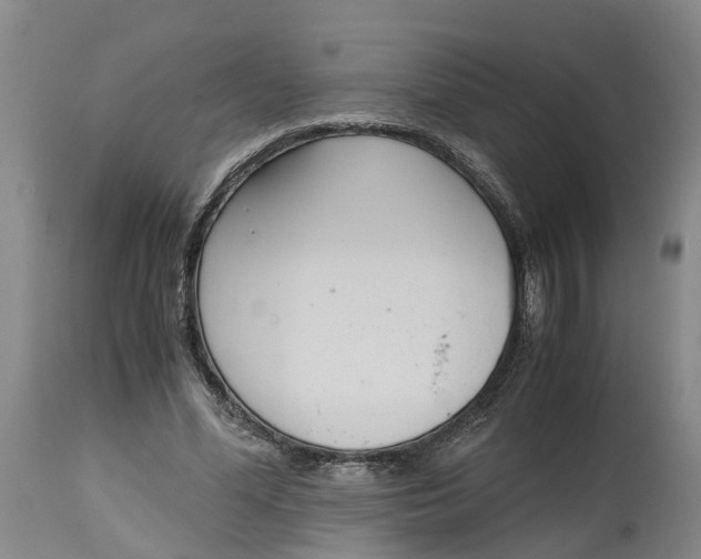 X0000115000588200911161539