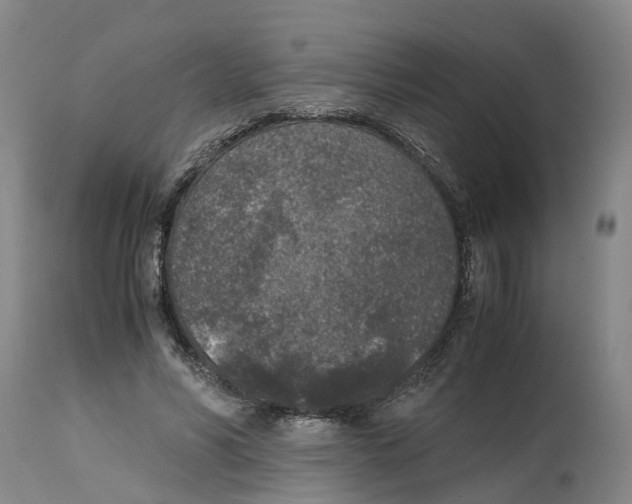 X0000115000590200911161539