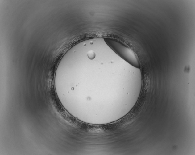 X0000115000594200911161539