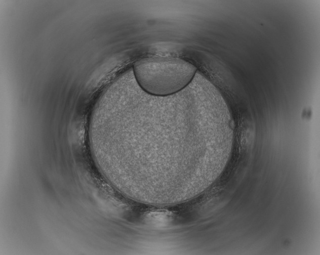 X0000115000595200911161539