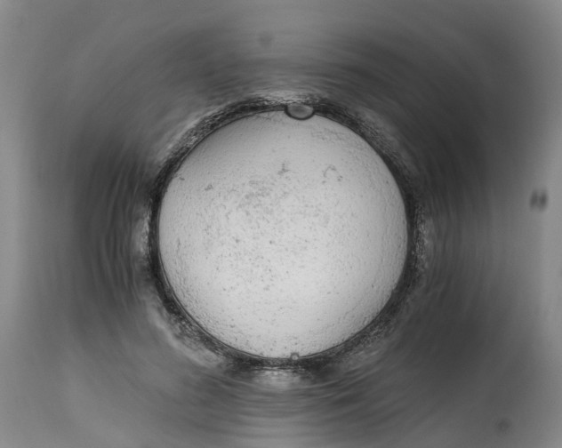 X0000115000596200911161539