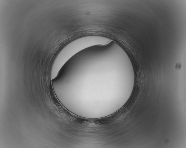 X0000115000597200911161539