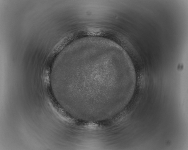 X0000115000598200911161538