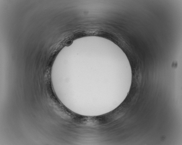 X0000115000601200911161538