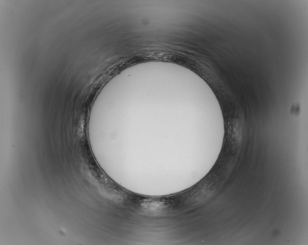 X0000115000602200911161538