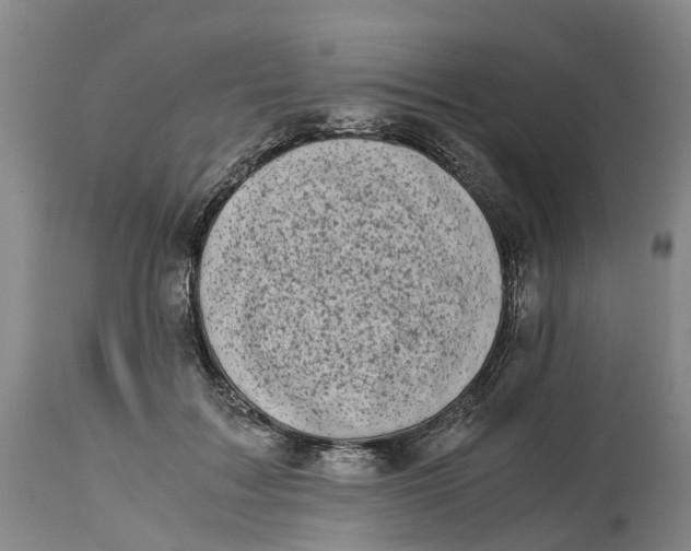 X0000115000603200911161538