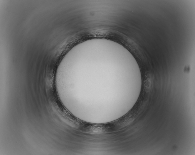 X0000115000604200911161538