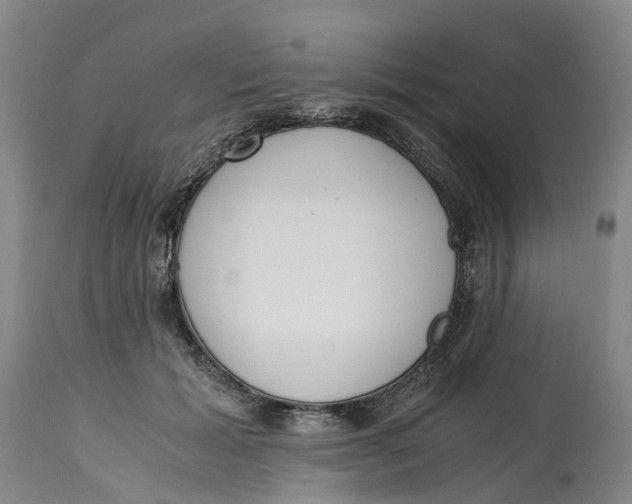 X0000115000605200911161538