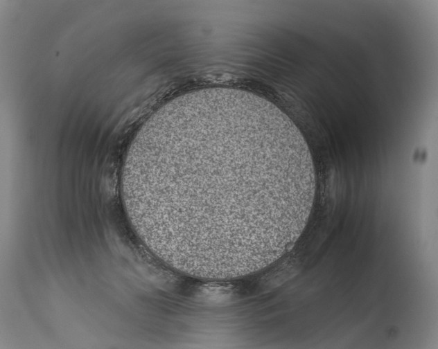 X0000115000606200911161538