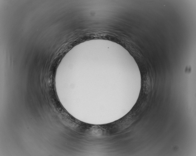 X0000115000608200911161538