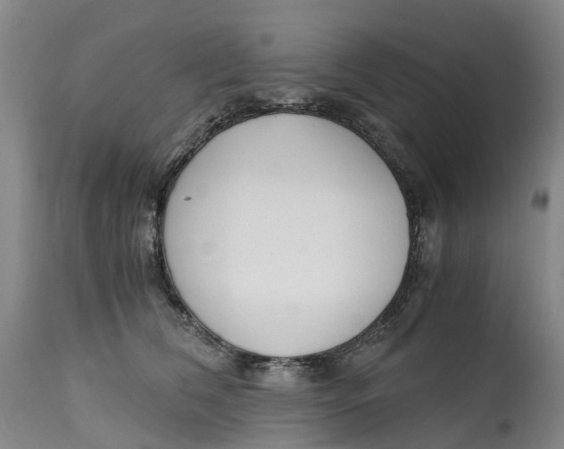 X0000115000612200911161538