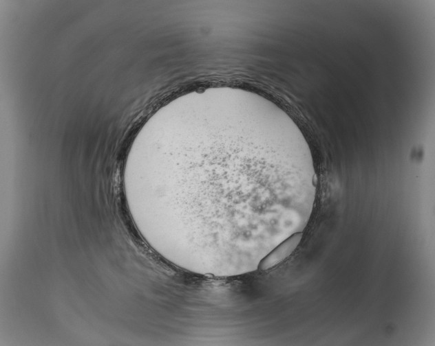 X0000115000613200911161538