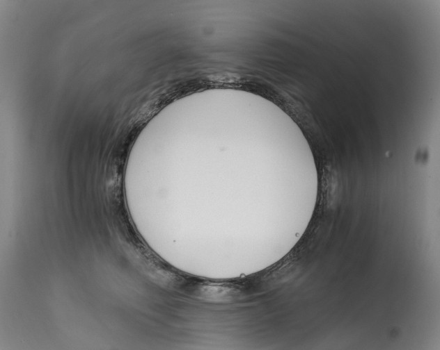 X0000115000614200911161538