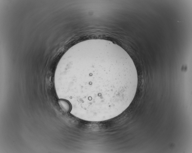 X0000115000615200911161538