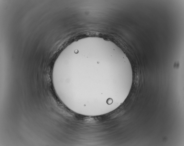 X0000115000616200911161538