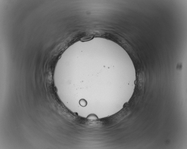 X0000115000617200911161538