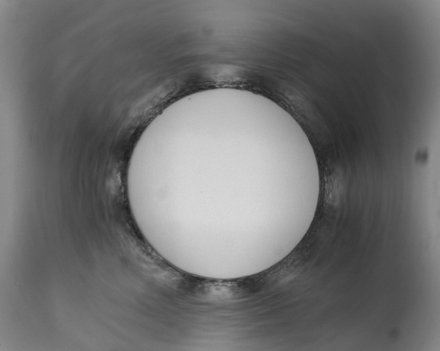 X0000115000618200911161538