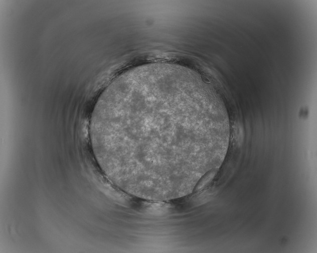 X0000115000621200911161538