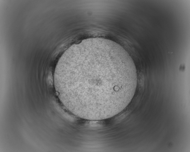 X0000115000622200911161538