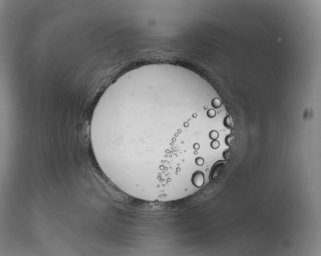 X0000115000624200911161538