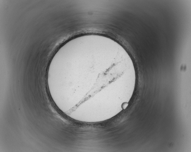 X0000115000625200911161537