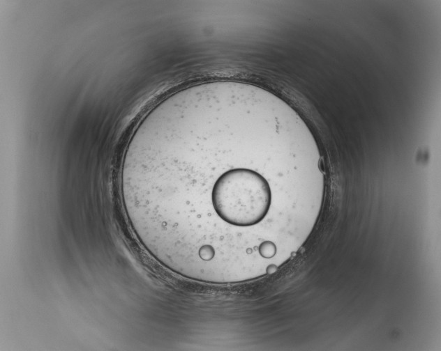 X0000115000626200911161537